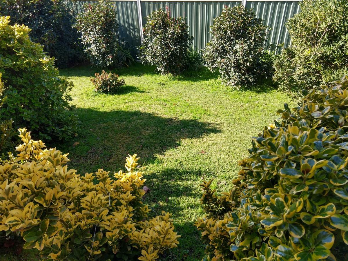 Goldrush Motel Young Cbd Bagian luar foto